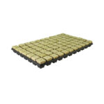 Grodan - Vassoio SBS Lana di Roccia 77 cubi 4X4X4cm