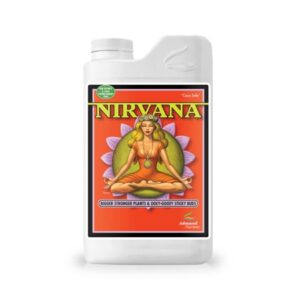 Nirvana