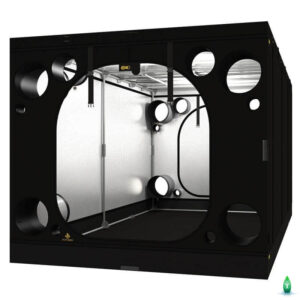 secret-jardin-intense