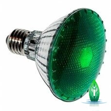 agrolite darknight 100w