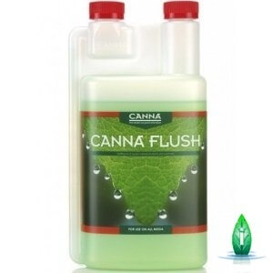 canna flush risciacquo 1 lt