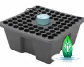 ghe rainforest 72 vasi