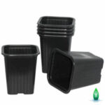 vega vaso 035 lt 7x7x8