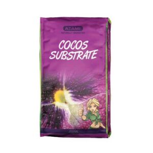 Atami – B’cuzz Cocco