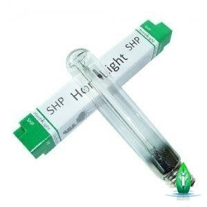 hortilight hps600w crescita-fioritura