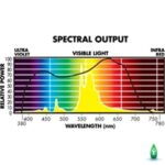sunmaster dual spectrum1