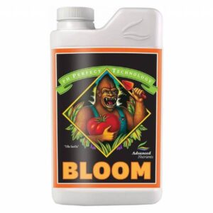 ADV- Bloom