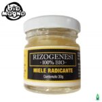 rizogenesi-100-bio-miele-radicante-bio-magno