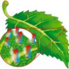 biochimica respirazione