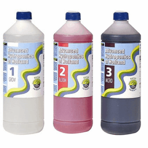 ADVANCED KIT DUTCH FORMULA