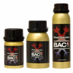 BAC - FINAL SOLUTION