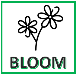 Advanced Hydroponics  – Dutch Formula 1-2-3