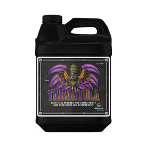 ADV - tarantula