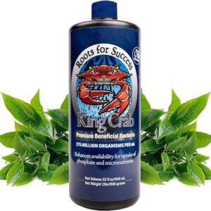 plant success - king crab